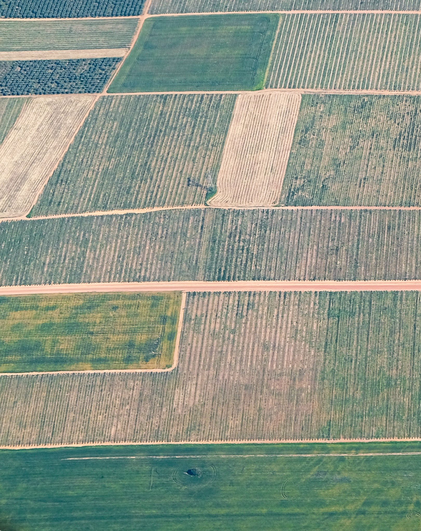 VIP1 Rajpura